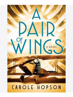 A Pair of Wings: A Novel