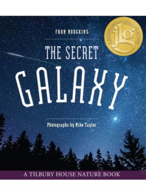 The Secret Galaxy