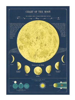 Chart of the Moon Poster