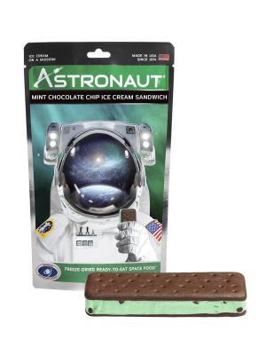 Astronaut Mint Chocolate Chip Ice Cream Sandwich