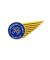 The Museum of Flight Fly Half Wing Pin