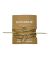 Brass Airplane Hair Pin