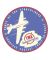 Transcontinental Airlines Sticker