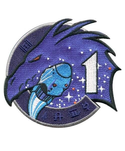 MISSION LANYARD FIRST CREWED LAUNCH FROM THE USA DM-2 NASA SPACEX DRAGON