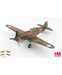 P-40B Tomahawk, Flying Tigers 1:48 Model