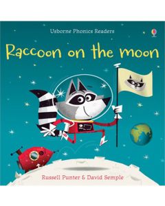 Raccoon on the Moon