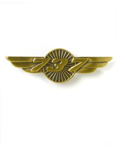 Boeing 737 Wings Pin