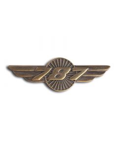 Boeing 787 Wings Pin