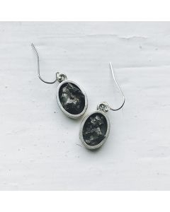 Raw Meteorite Oval Dangle Earrings