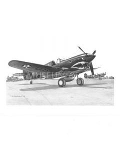 P-40 Illustration