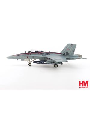 F/A-18D VMFA-112 1:72 Model