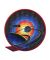 NASA ISS Expedition 63 Patch