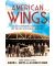 American Wings:Chicago's Pioneering Black Aviators
