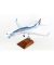 Alaska 787-9 Aurora 1:100 Model