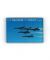 F/A-18 Blue Angels in flight magnet