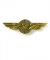 Boeing 737 Wings Pin