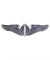 USAAF Bombardier Wings