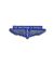 Compass Wings Blue Large Pin