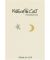 Hammered Moon & Star Two Tone Earrings
