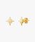 Gold Starburst Stud Earrings