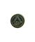 Apollo 50 Back To The Moon On To Mars Pin