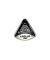 NASA Apollo 11 Command Module Pin
