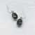 Raw Meteorite Oval Dangle Earrings