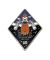 Space Shuttle Launch Pin