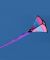 Iris Pica Single Line Kite