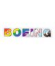 Boeing Pride Sticker